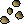 Orange tree seed 4.png
